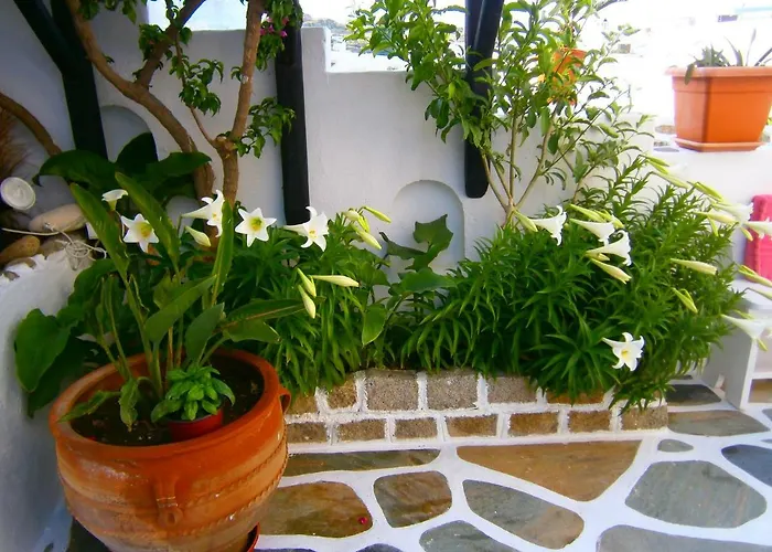 Lägenhet Anchor αpartments Mykonos Town